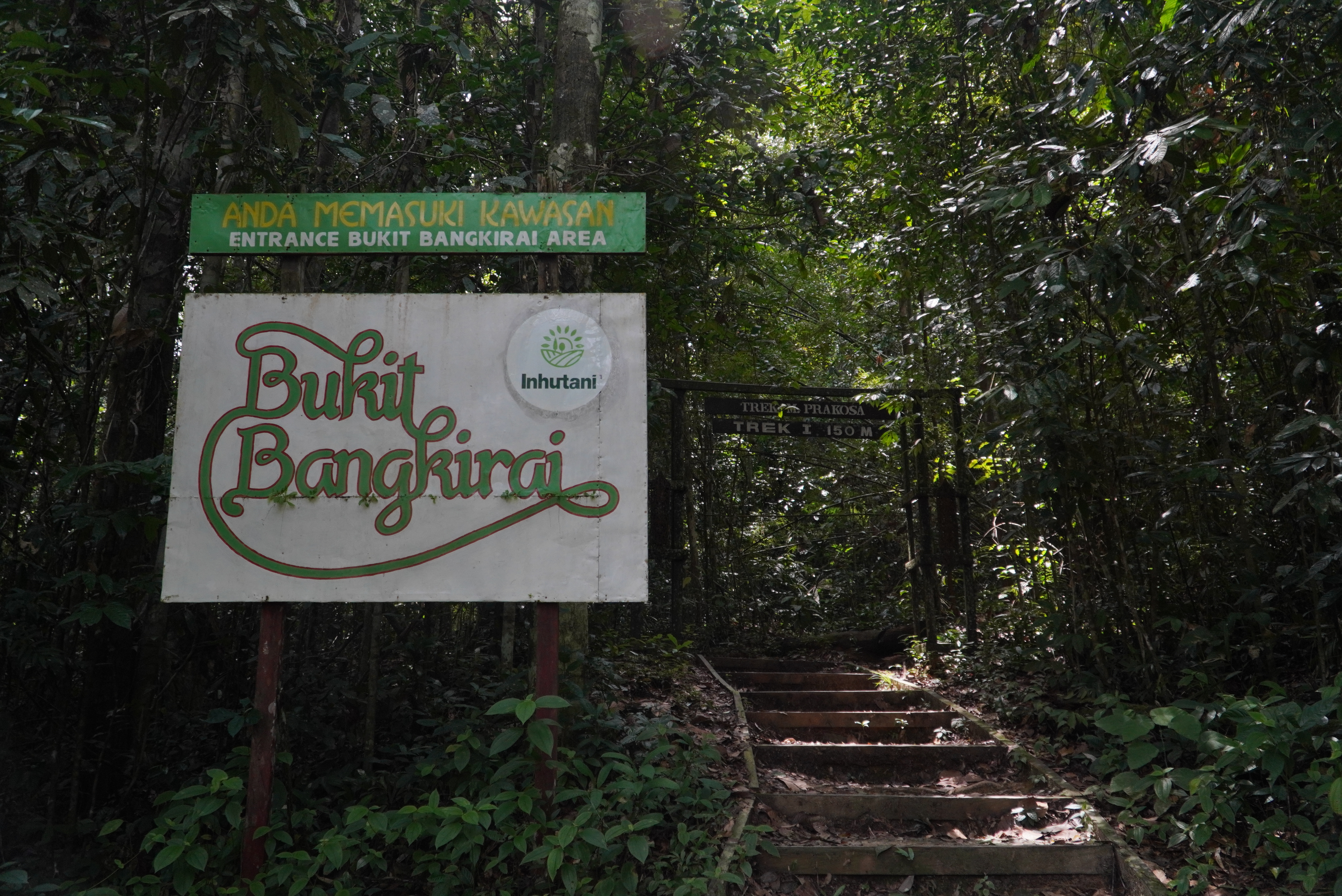 Bukit Bengkirai