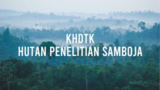 Hutan Samboja